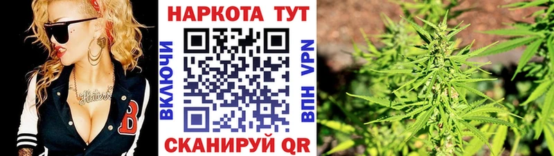 МЕФ Кодинск