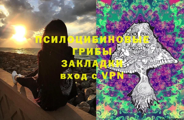 не бодяженный Зеленодольск