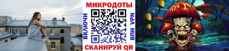 Купить где  Кодинск  Галлюциногенные грибы мухоморы 